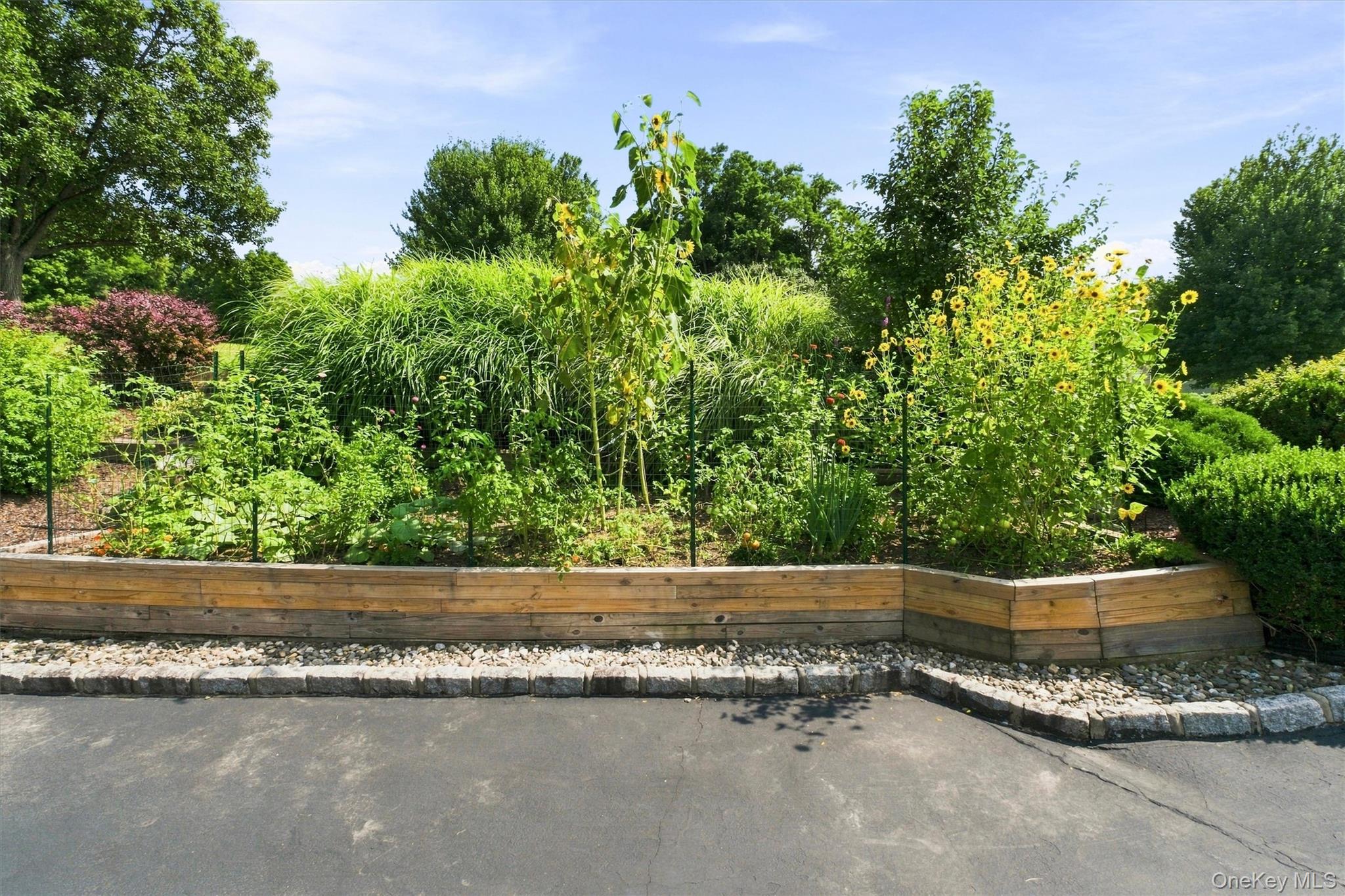 28 E Hill Road Property Photo 47