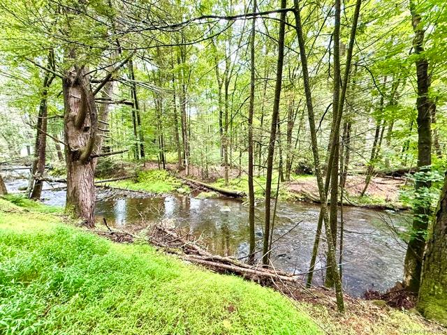 Lot 9 Black Forest Road Property Photo 1