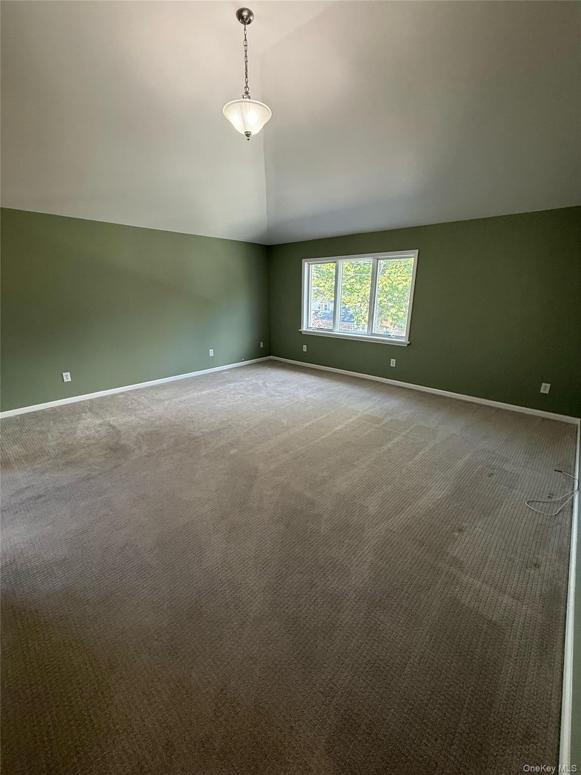 103 Clunie Avenue 2 Property Photo 5