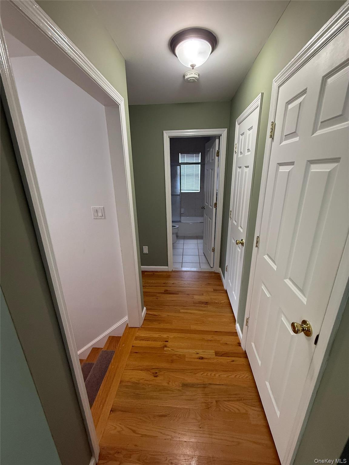 103 Clunie Avenue 2 Property Photo 6