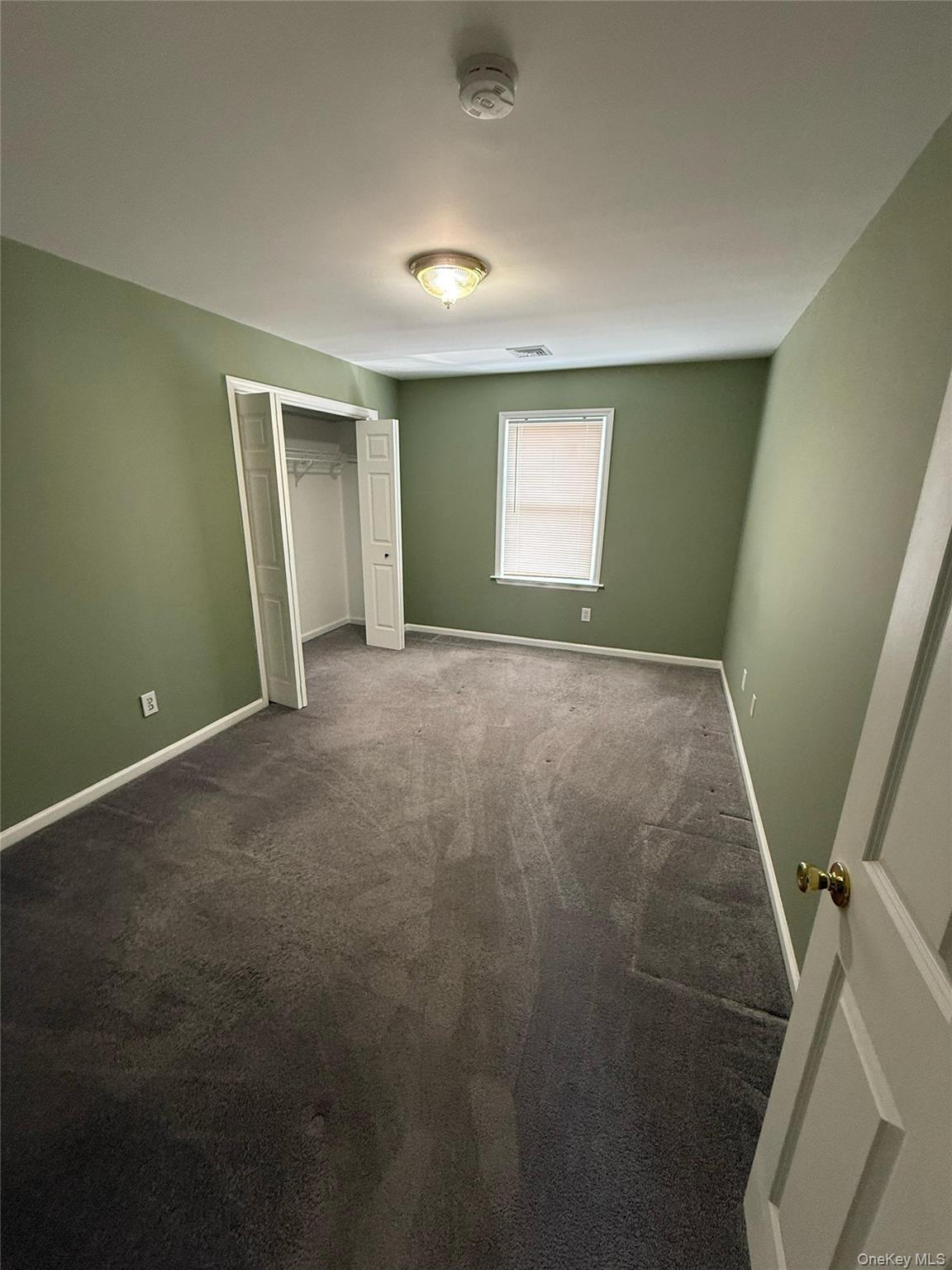 103 Clunie Avenue 2 Property Photo 9