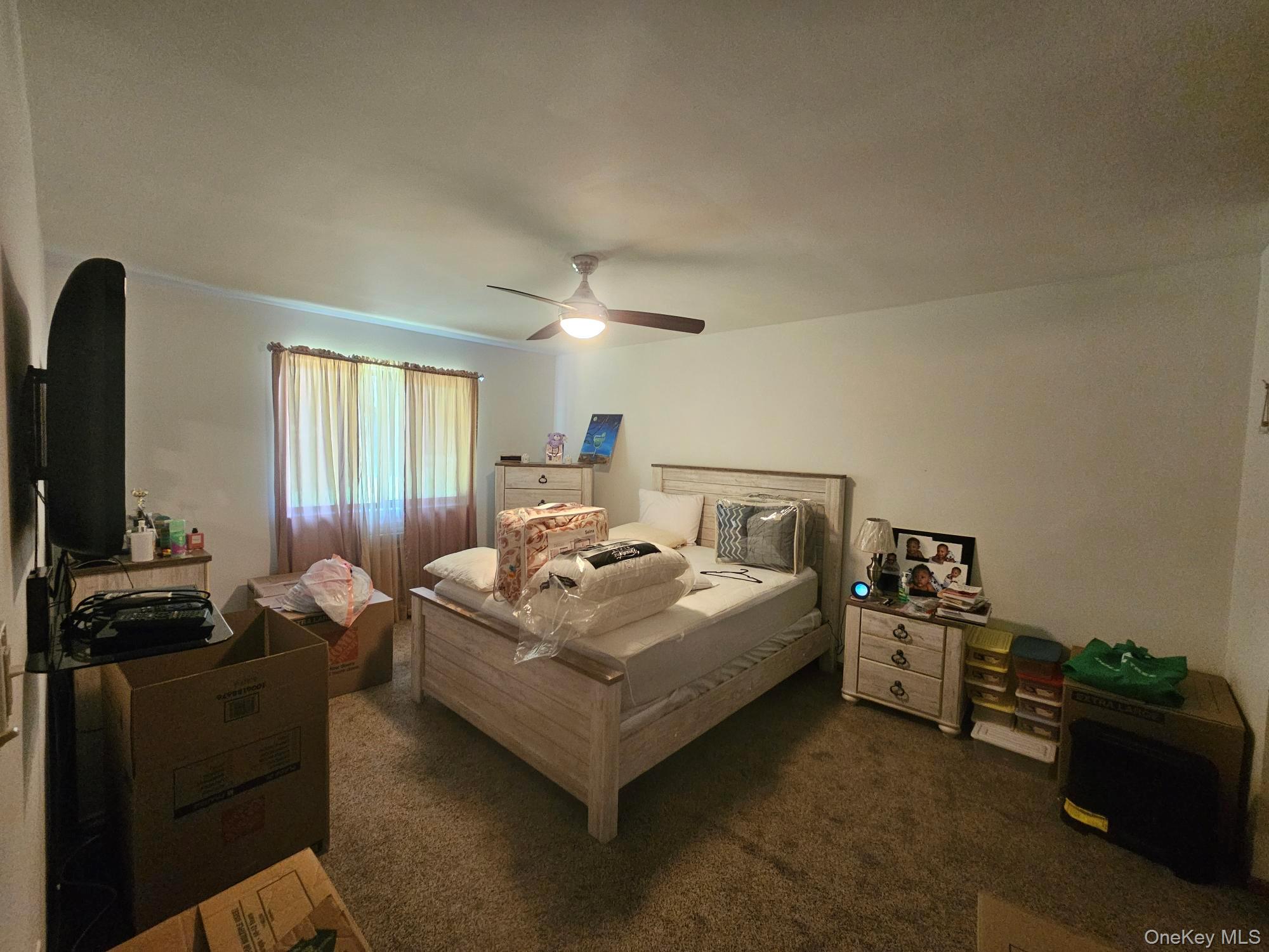 248 Concord Lane Property Photo 11