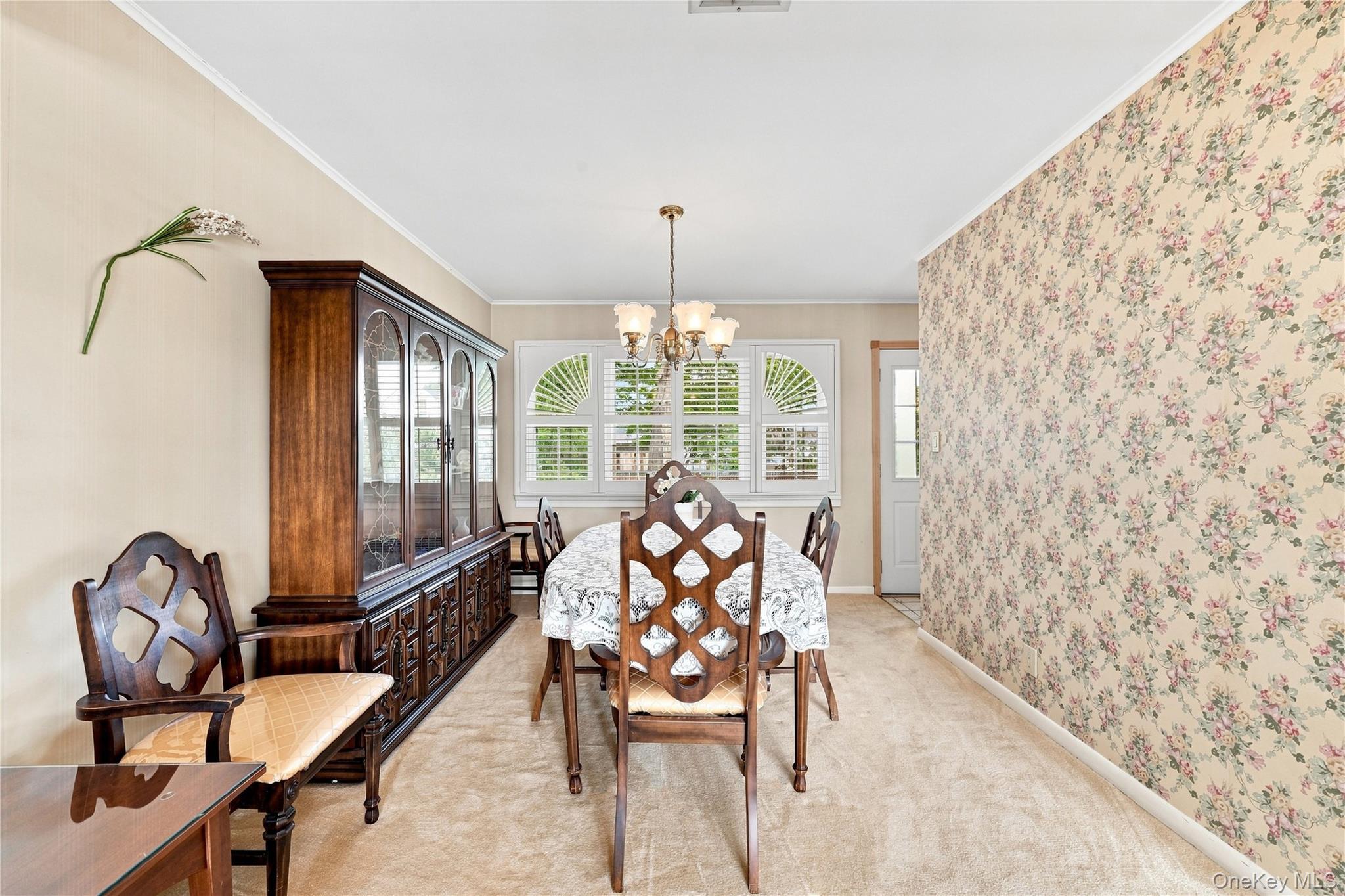 23 Roy Avenue Property Photo 6