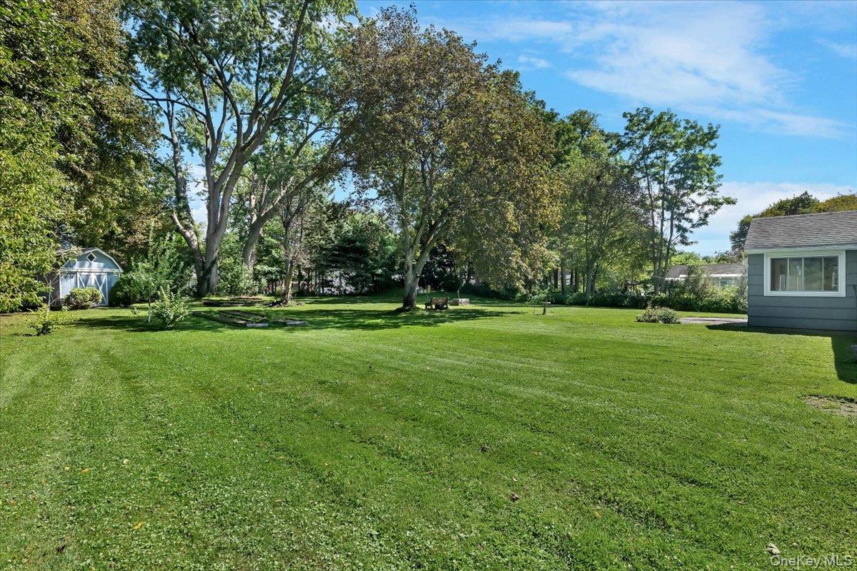 10 Eastland Avenue Property Photo 35
