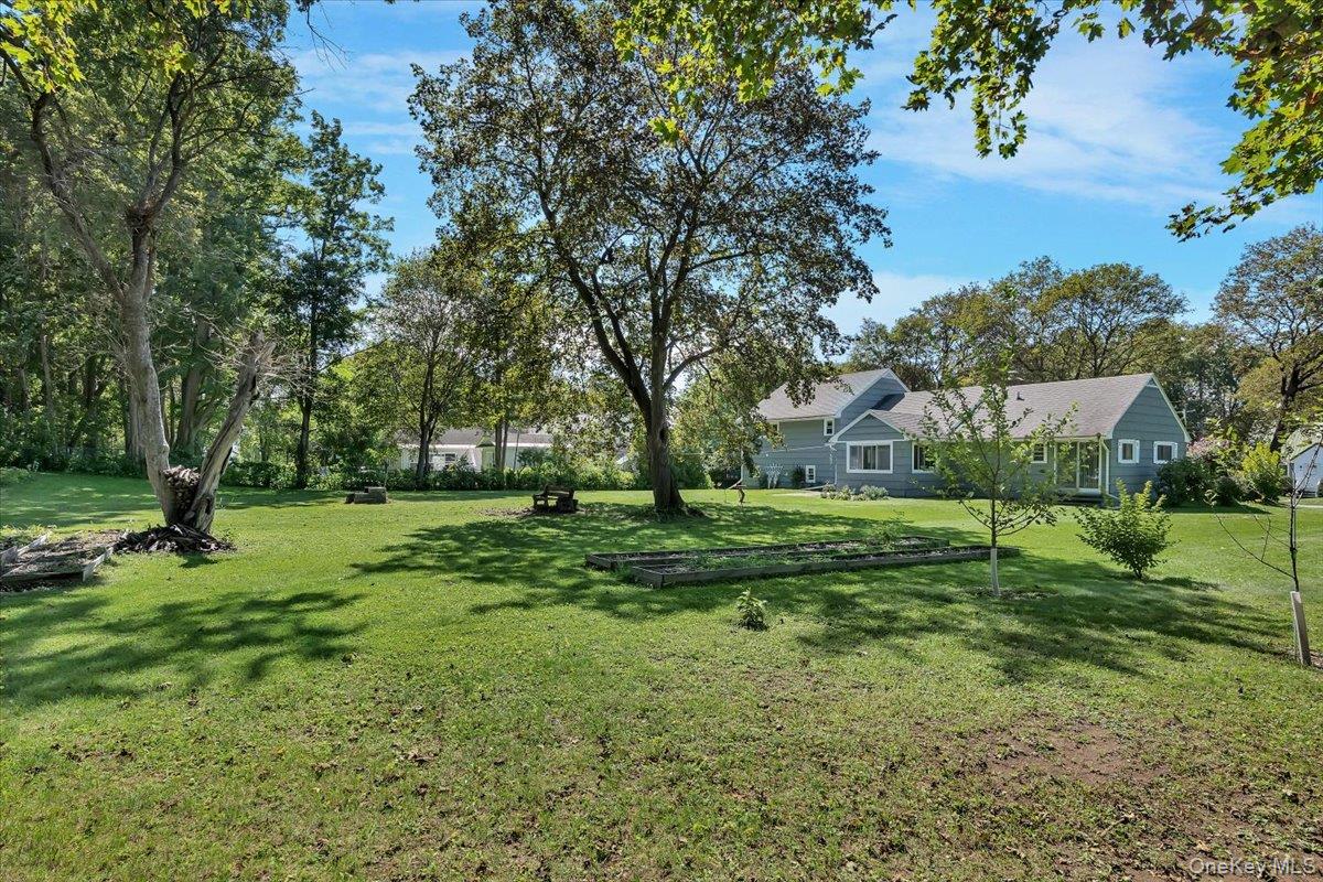 10 Eastland Avenue Property Photo 39
