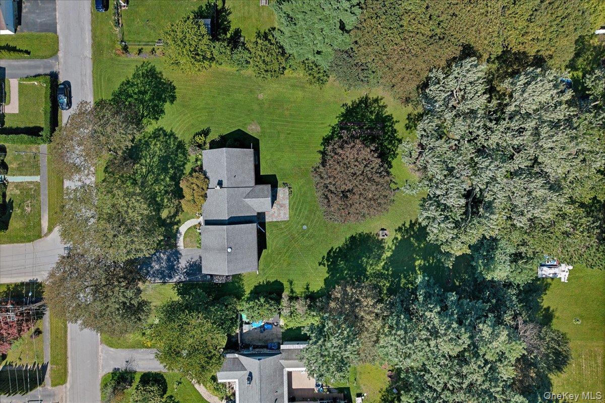 10 Eastland Avenue Property Photo 43