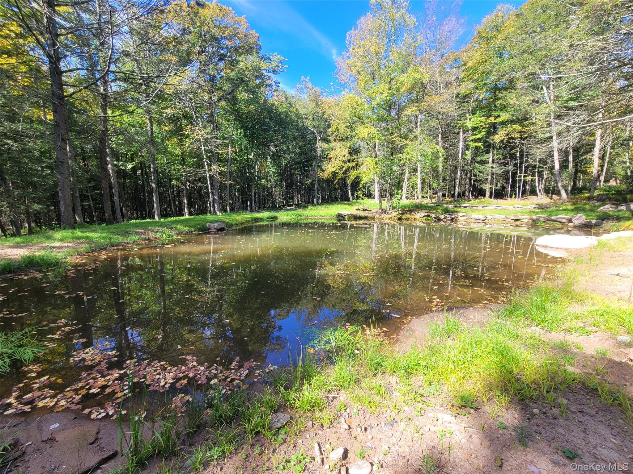 361 Ahrens Road Property Photo 1