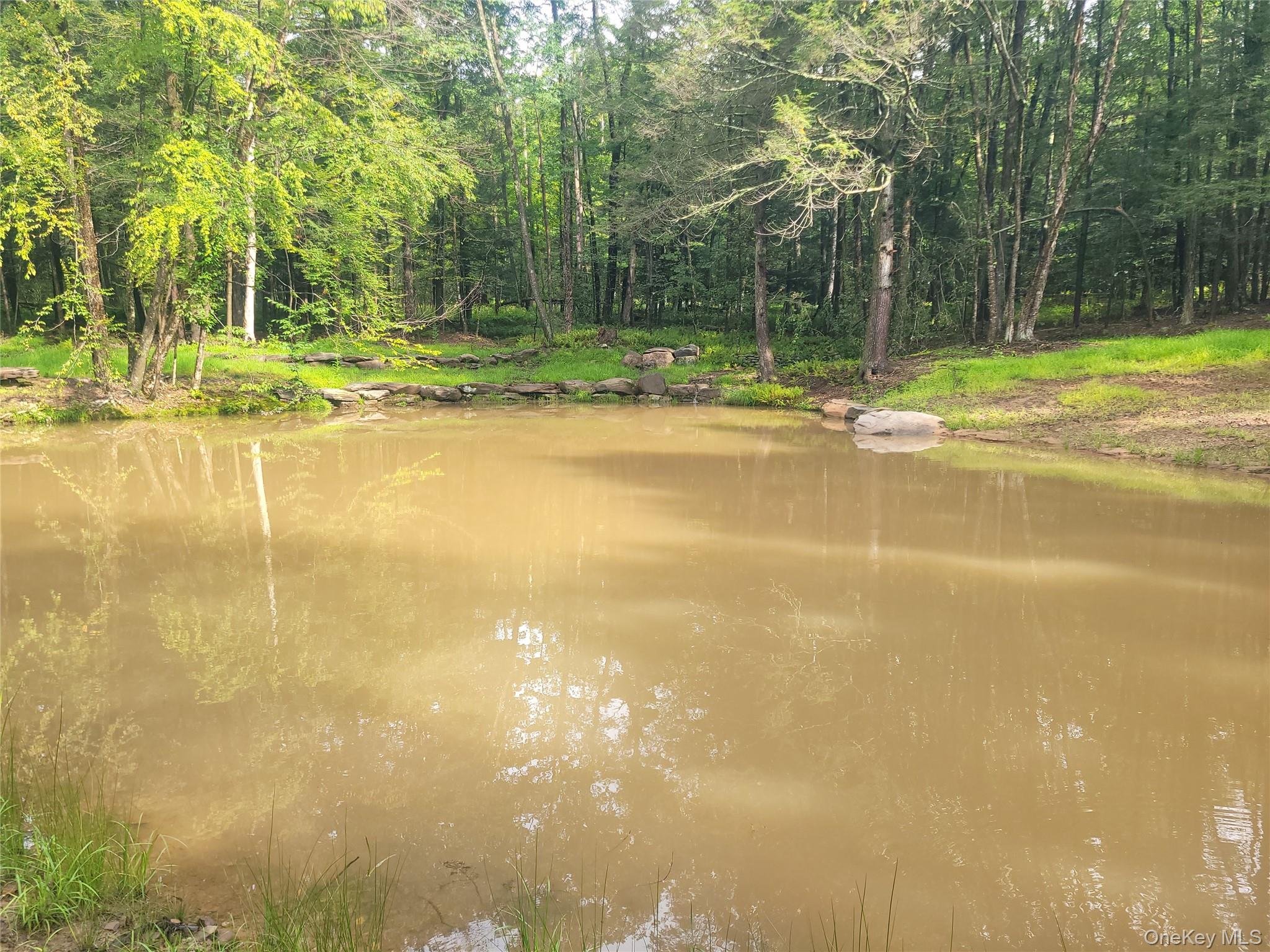 361 Ahrens Road Property Photo 6