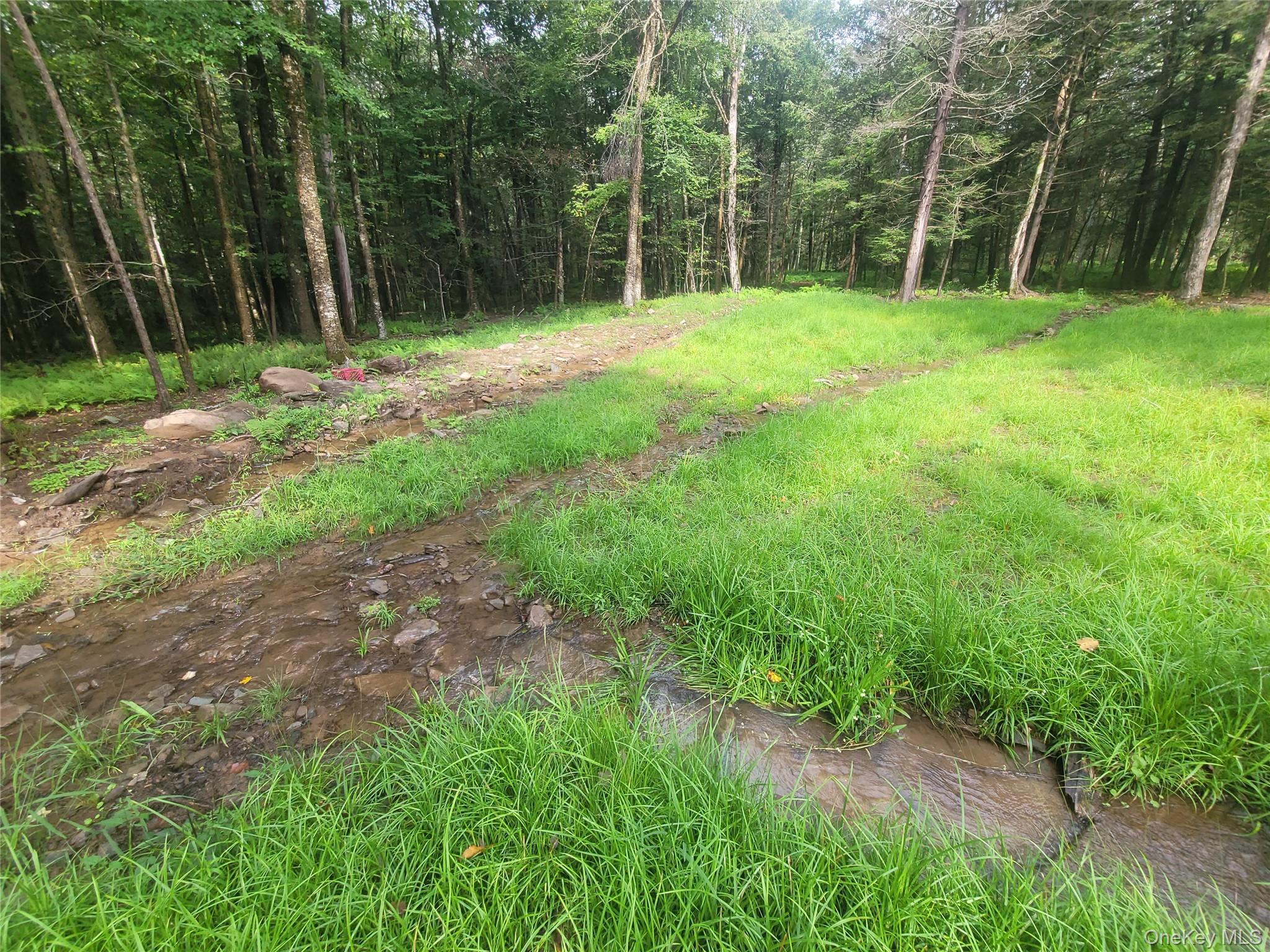 361 Ahrens Road Property Photo 7