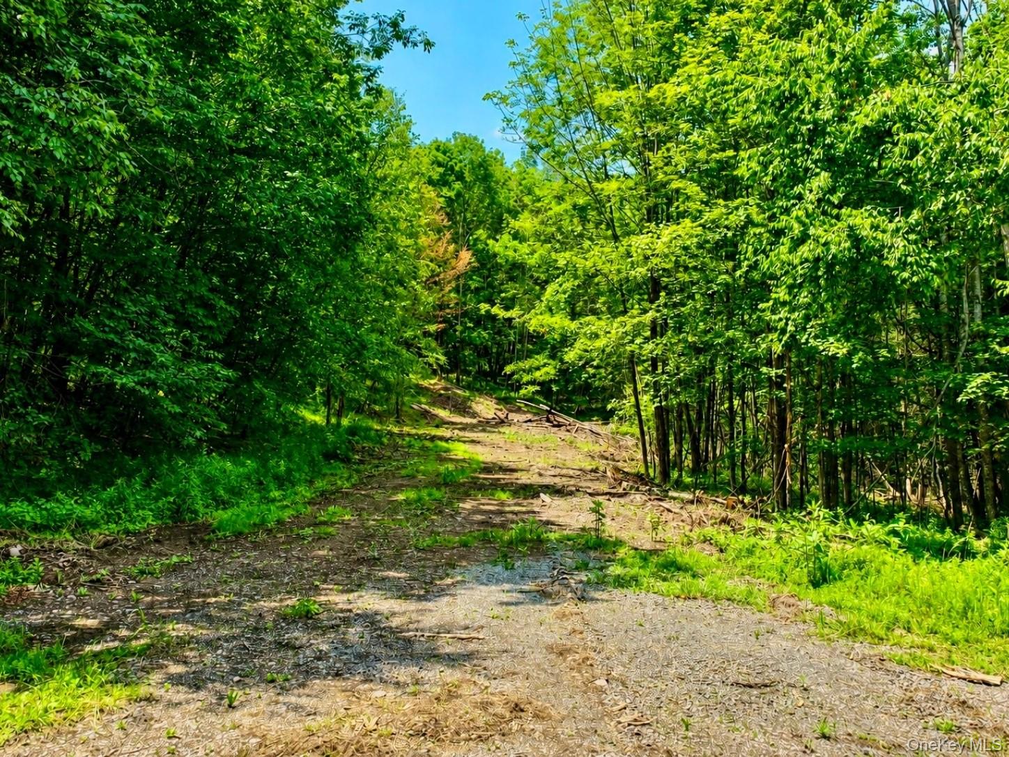 Tbd Valley View Road Property Photo 9