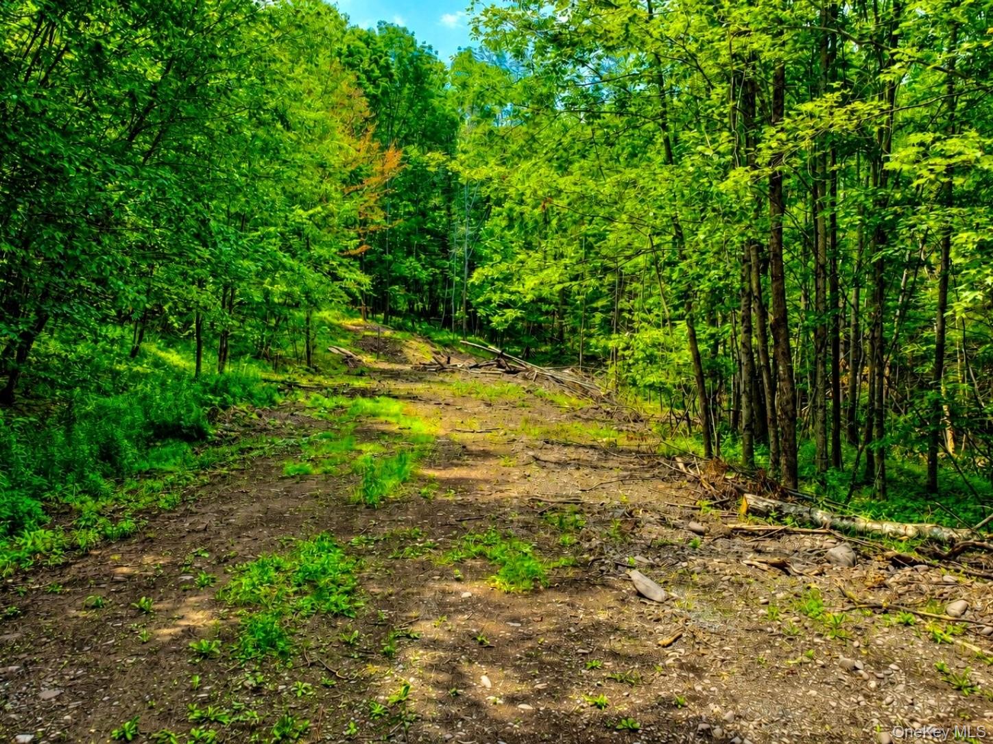 Tbd Valley View Road Property Photo 10