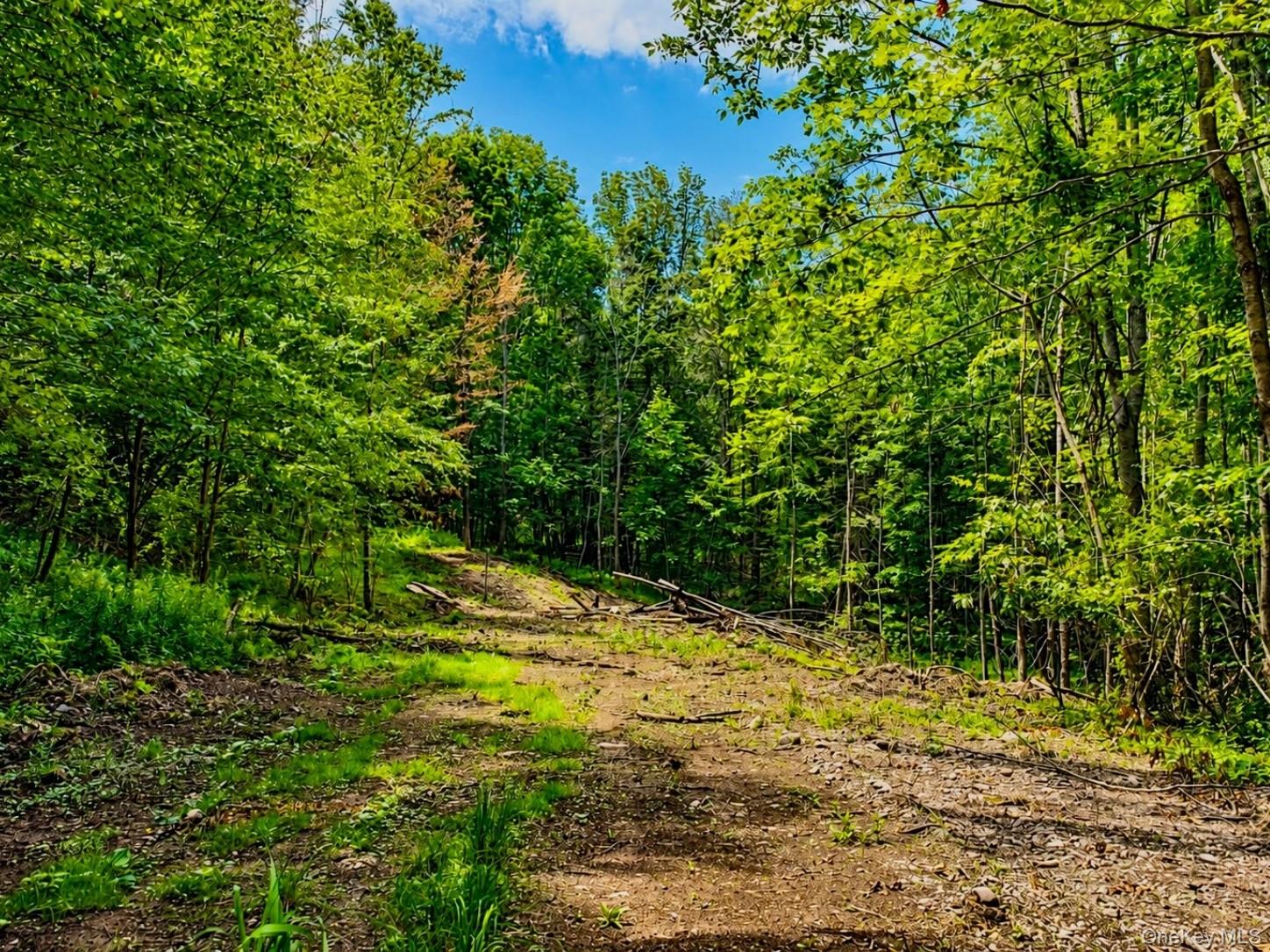 Tbd Valley View Road Property Photo 11