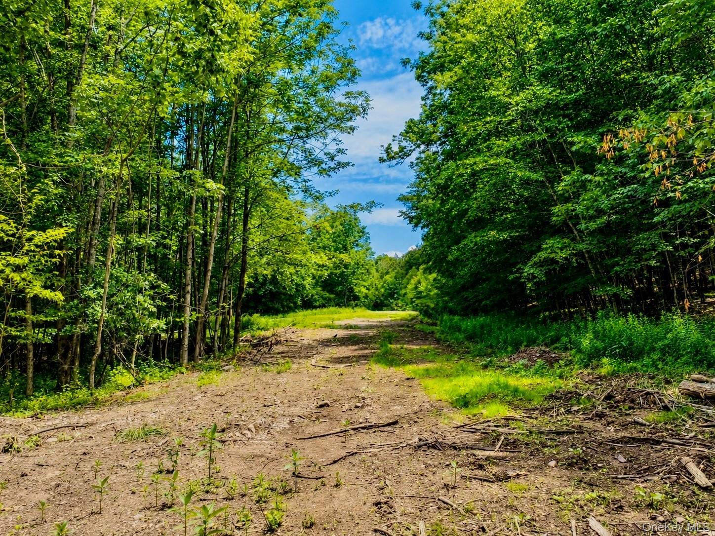 Tbd Valley View Road Property Photo 12