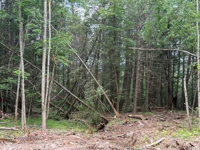 Tbd Valley View Road Property Photo 14