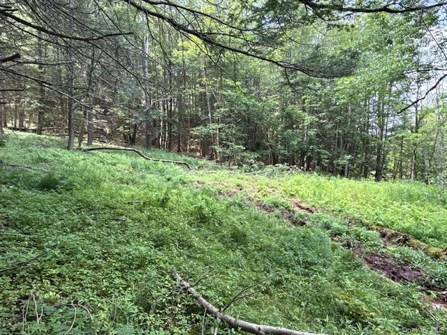 Tbd Valley View Road Property Photo 16