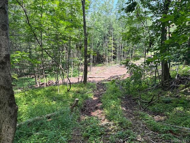 Tbd Valley View Road Property Photo 19
