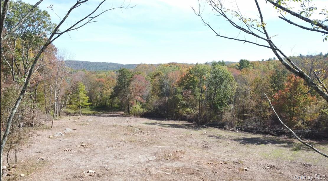 Tbd W Hill Road Property Photo 2