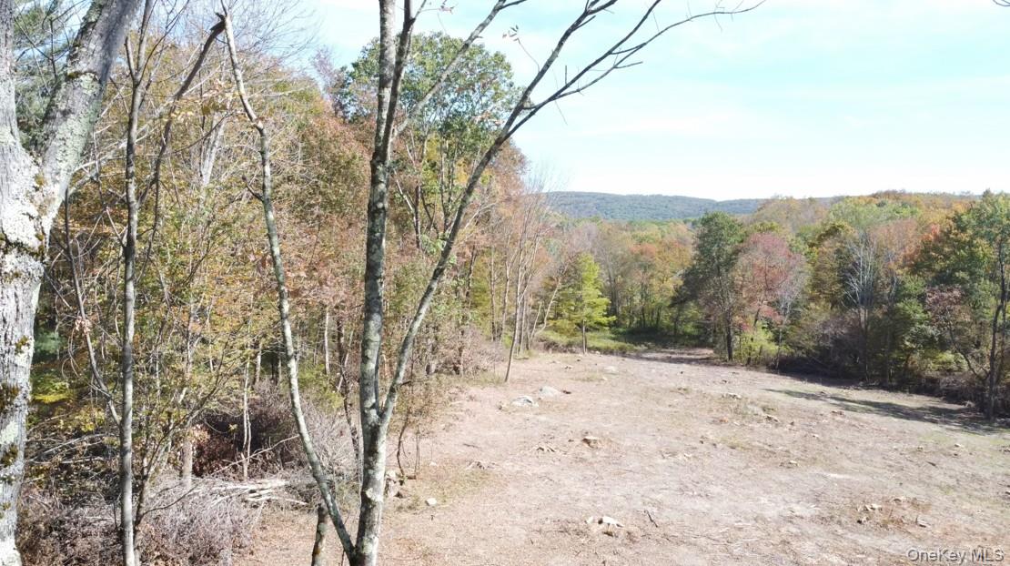Tbd W Hill Road Property Photo 3