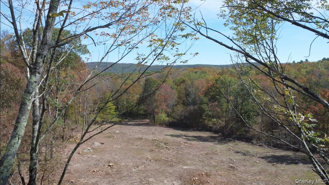 Tbd W Hill Road Property Photo 4