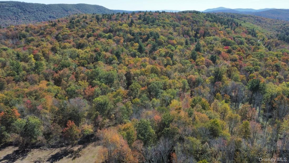 Tbd W Hill Road Property Photo 5