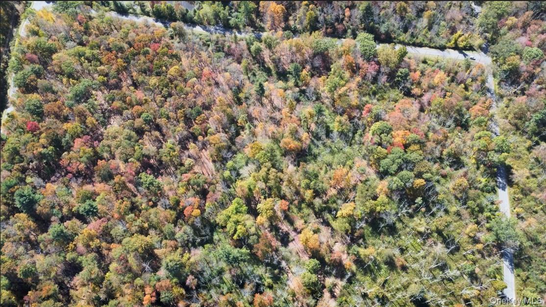 Tbd W Hill Road Property Photo 6