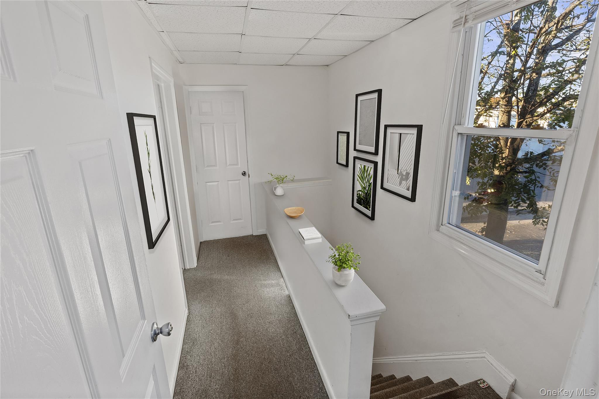 15 E Carl Street Property Photo 10