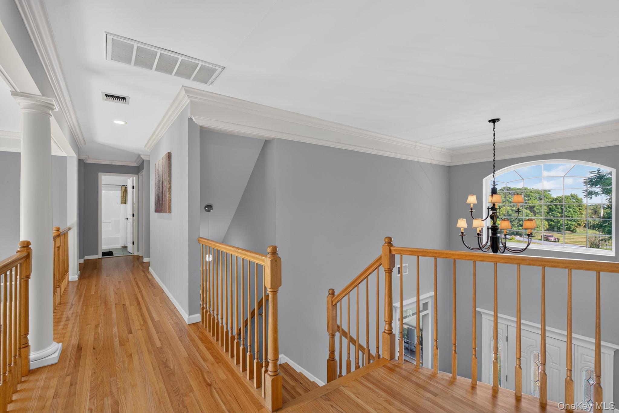23 Dickison Road Property Photo 35