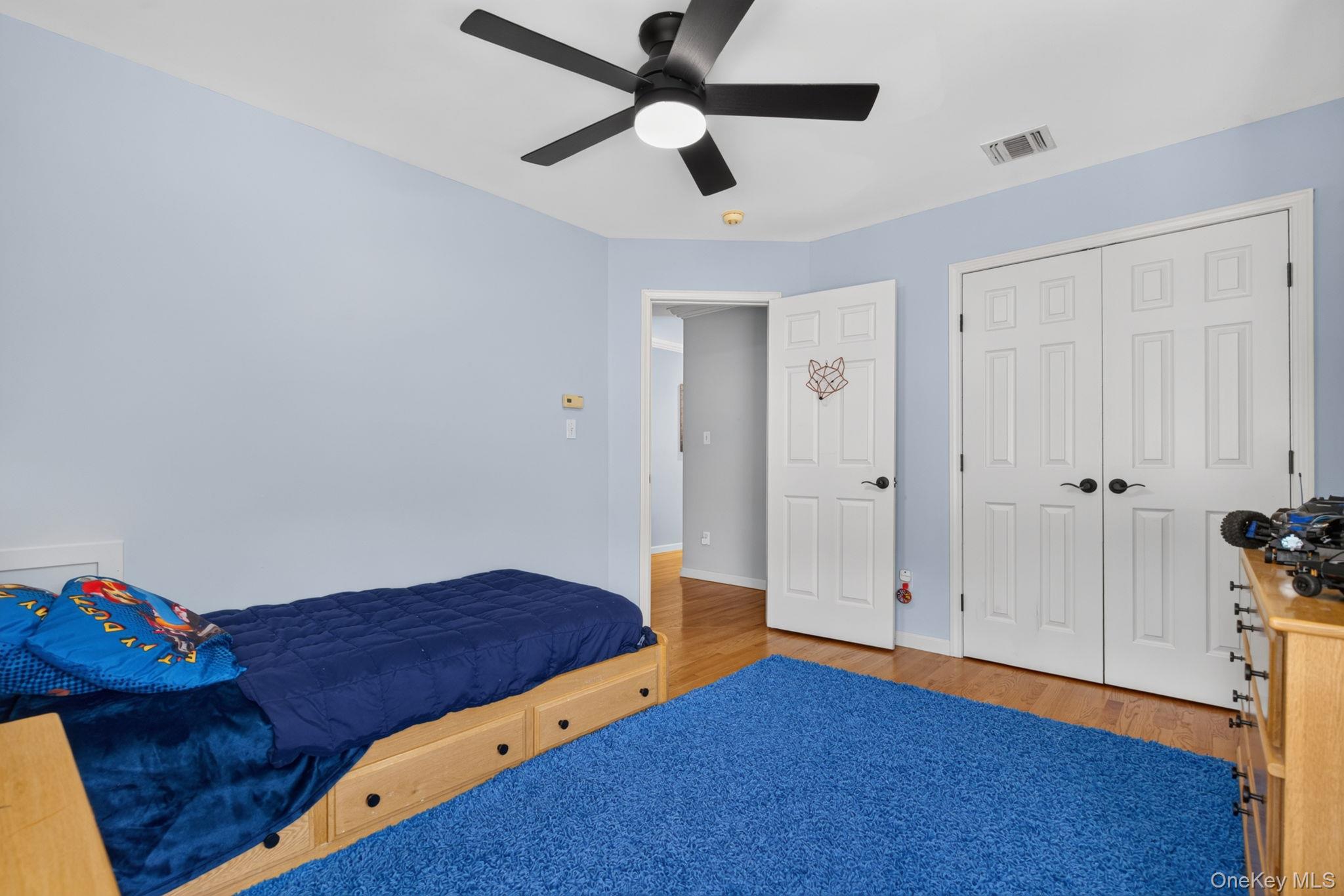 23 Dickison Road Property Photo 44