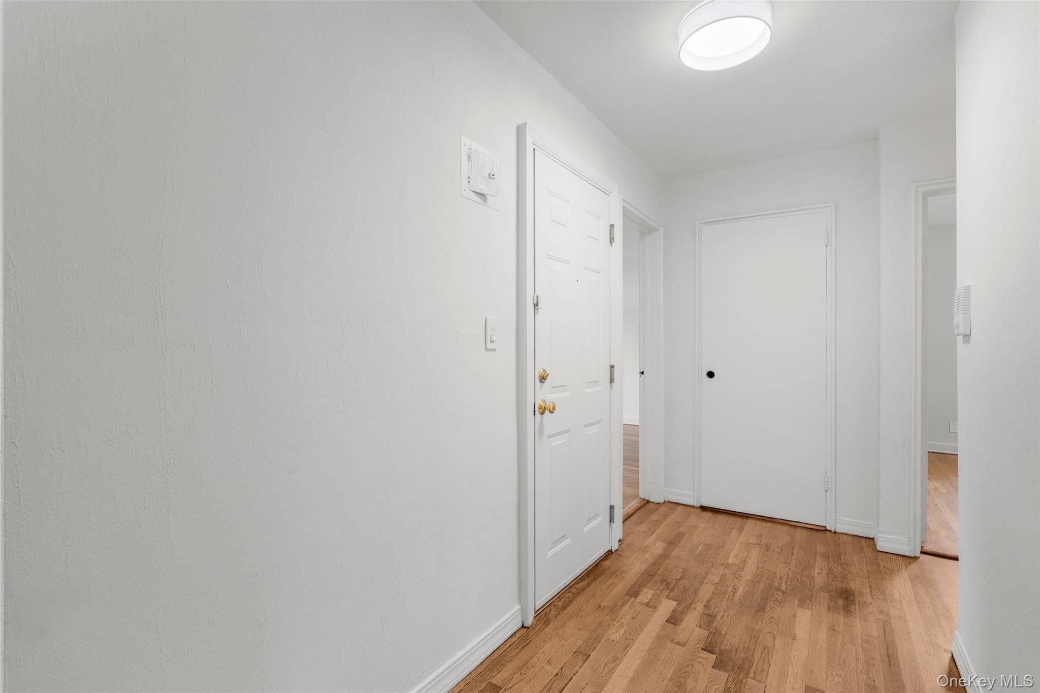 907 Palmer Avenue C2 Property Photo 4