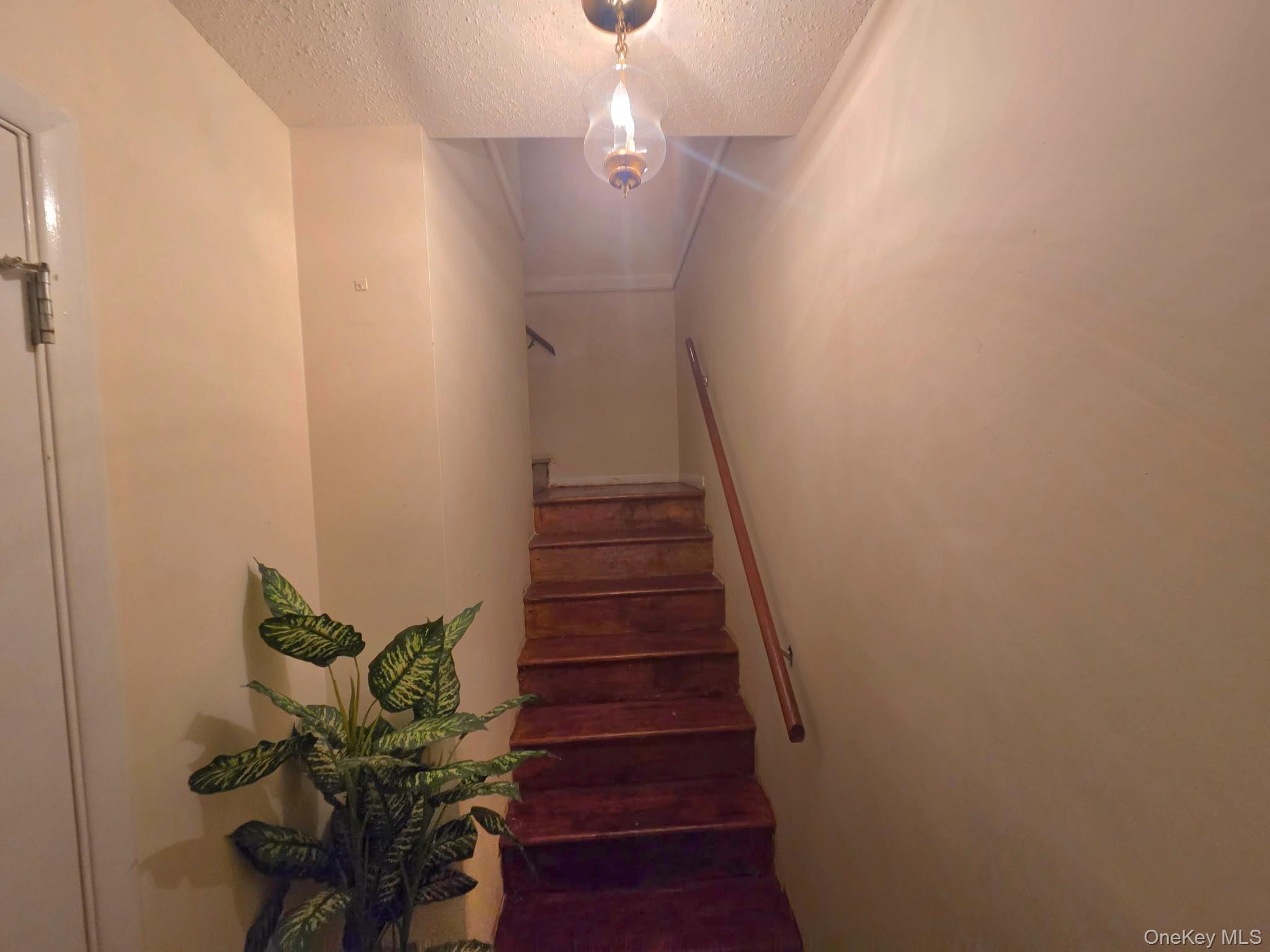 1988 Vyse Avenue Apt 2 Property Photo 4