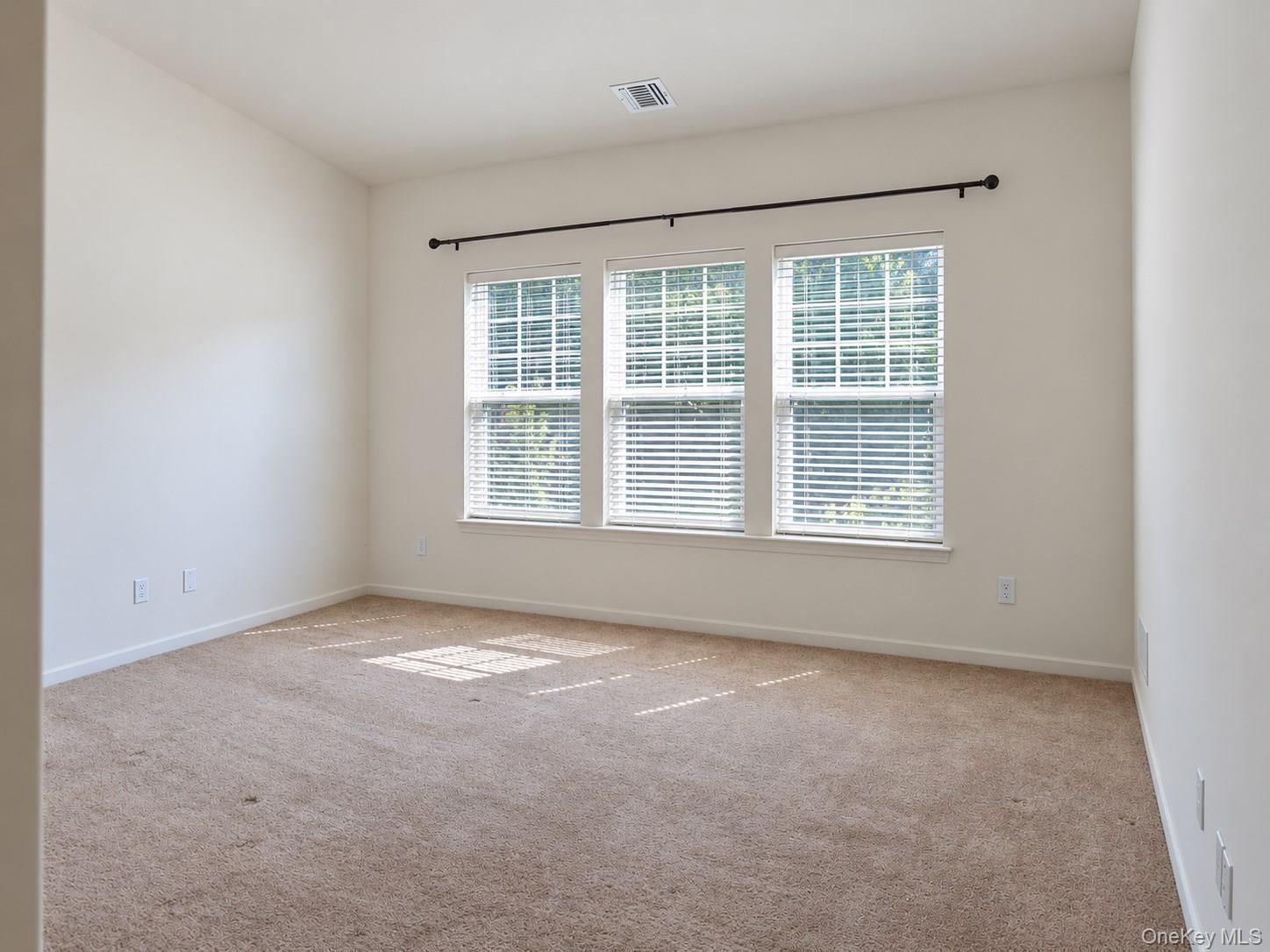 41 Greentree Court Property Photo 5