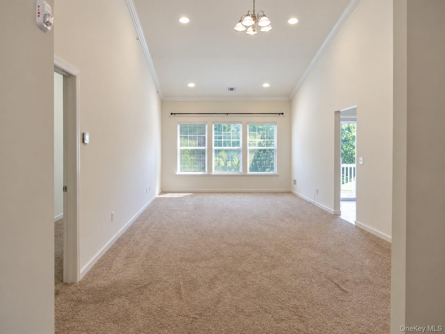 41 Greentree Court Property Photo 11