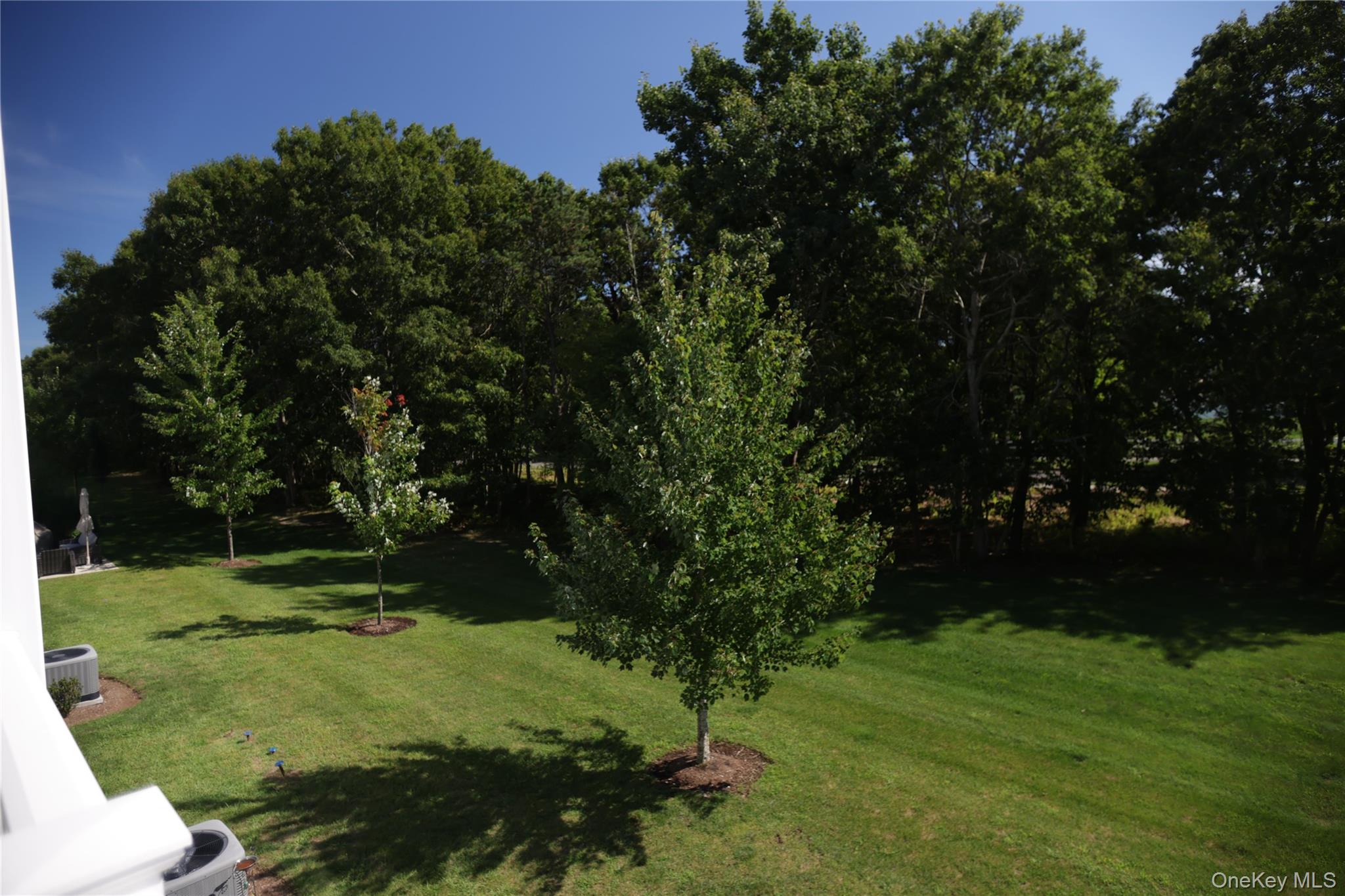41 Greentree Court Property Photo 25