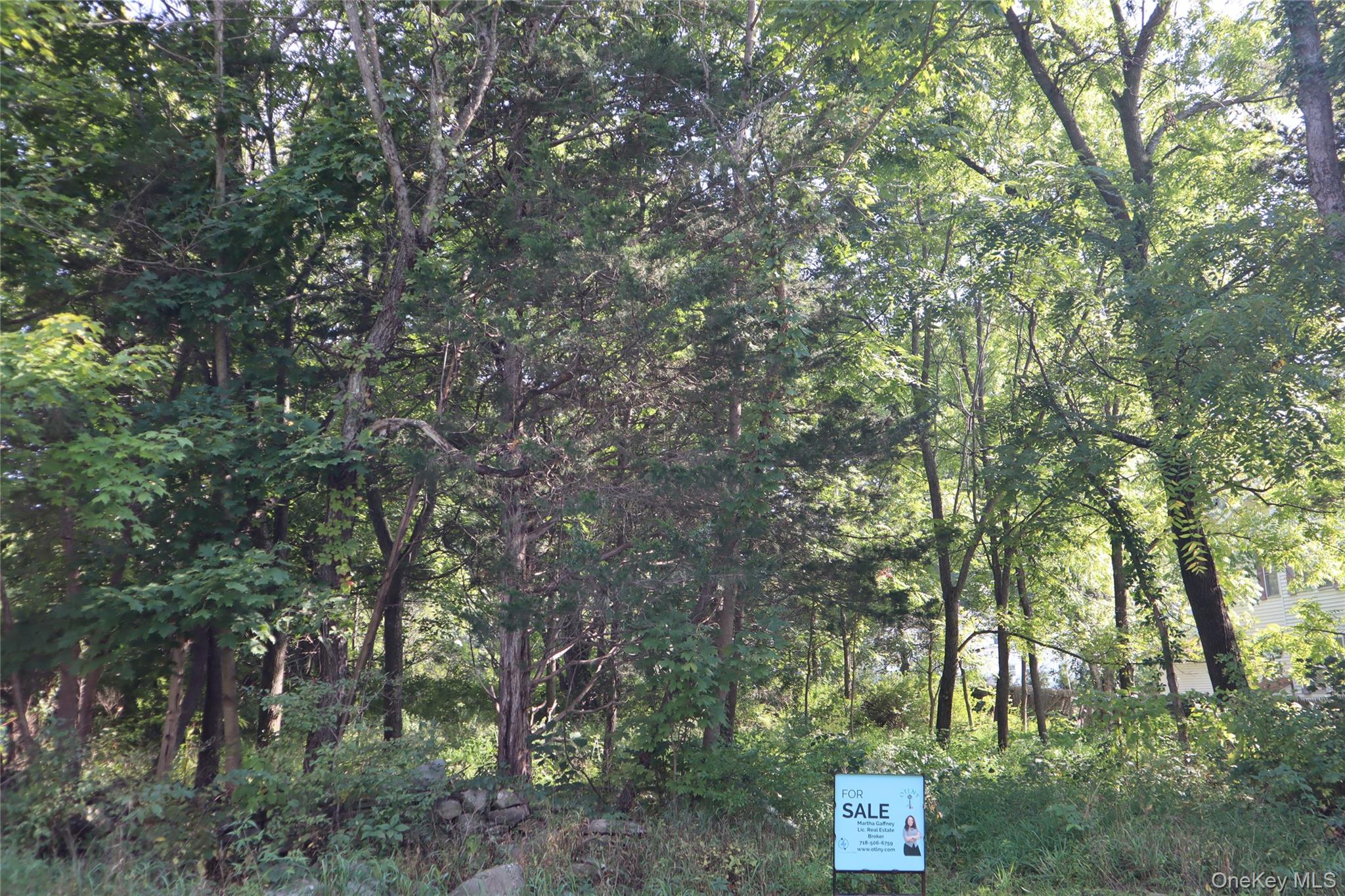 126 Huckleberry Turnpike Property Photo 1