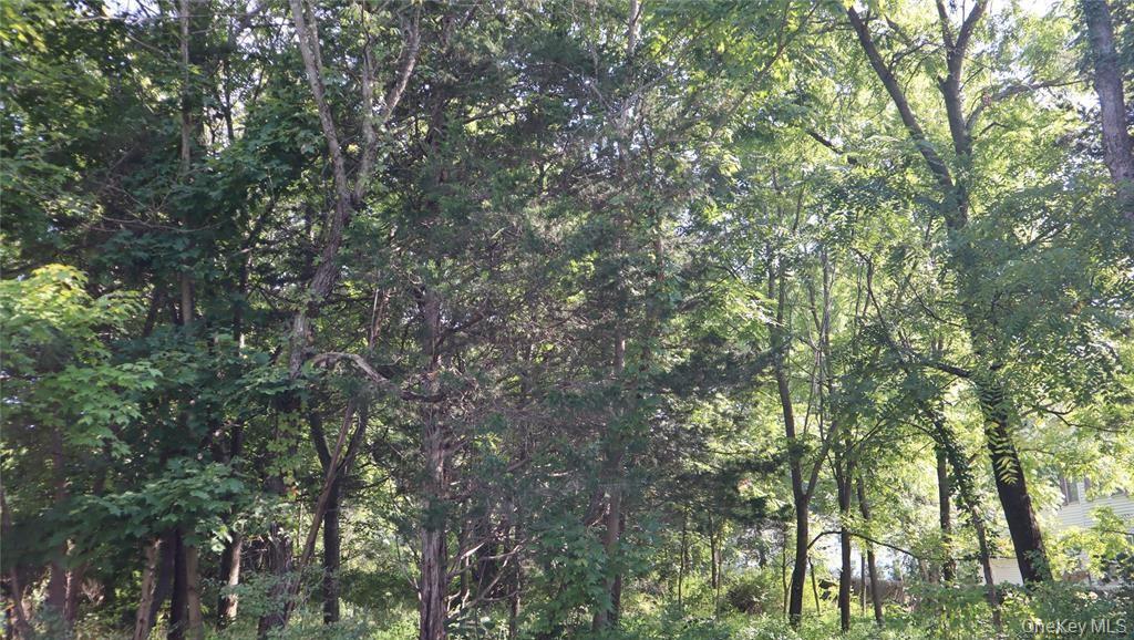 126 Huckleberry Turnpike Property Photo 1