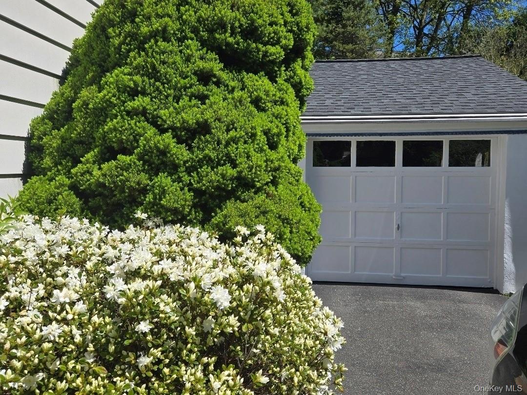 30 Greenvale Circle Property Photo 4