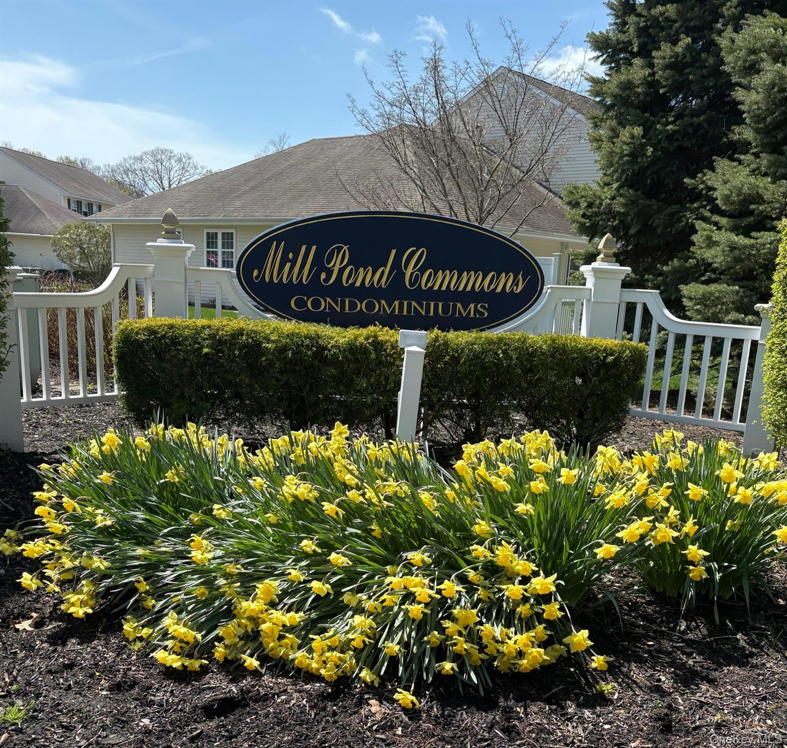 90 Mulberry Common Property Photo 25