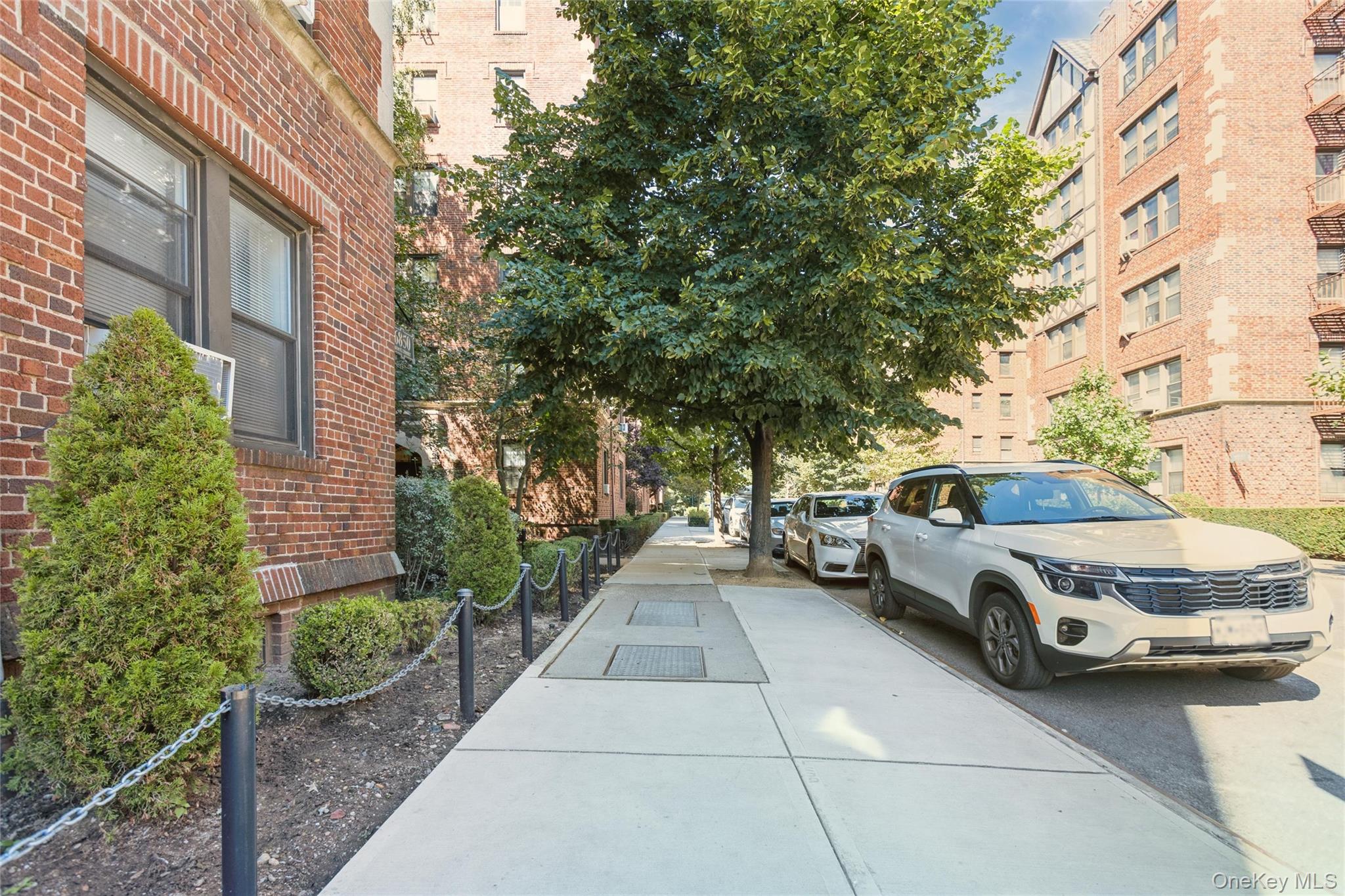 68-36 Burns Street D1 Property Photo 2