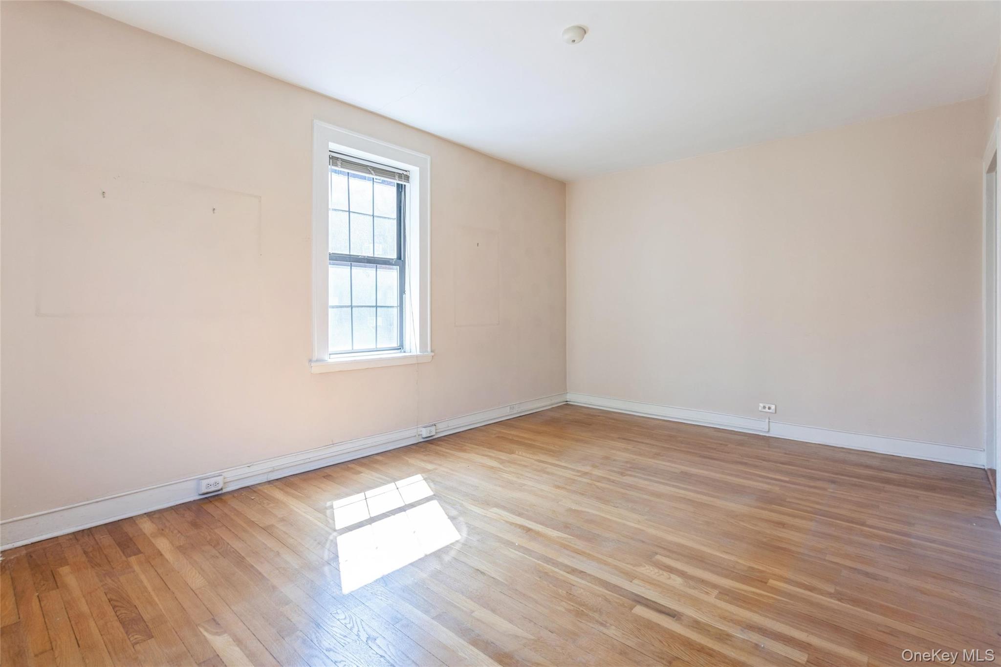 68-36 Burns Street D1 Property Photo 9