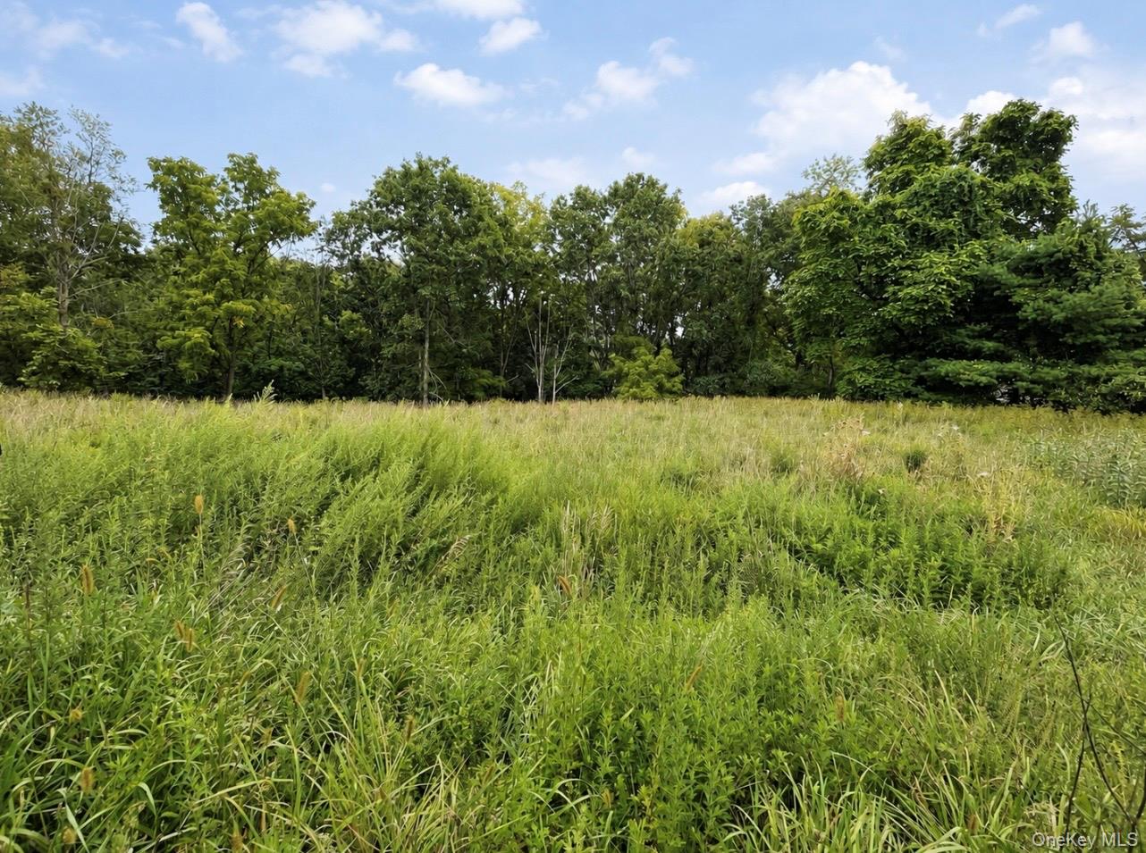 Tbd Queens Highway Property Photo 1