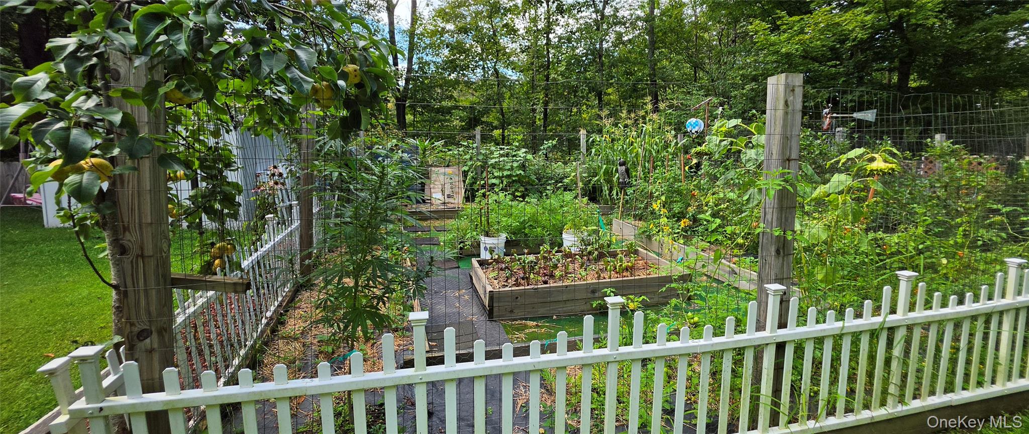 42 Gabriel Road Property Photo 25