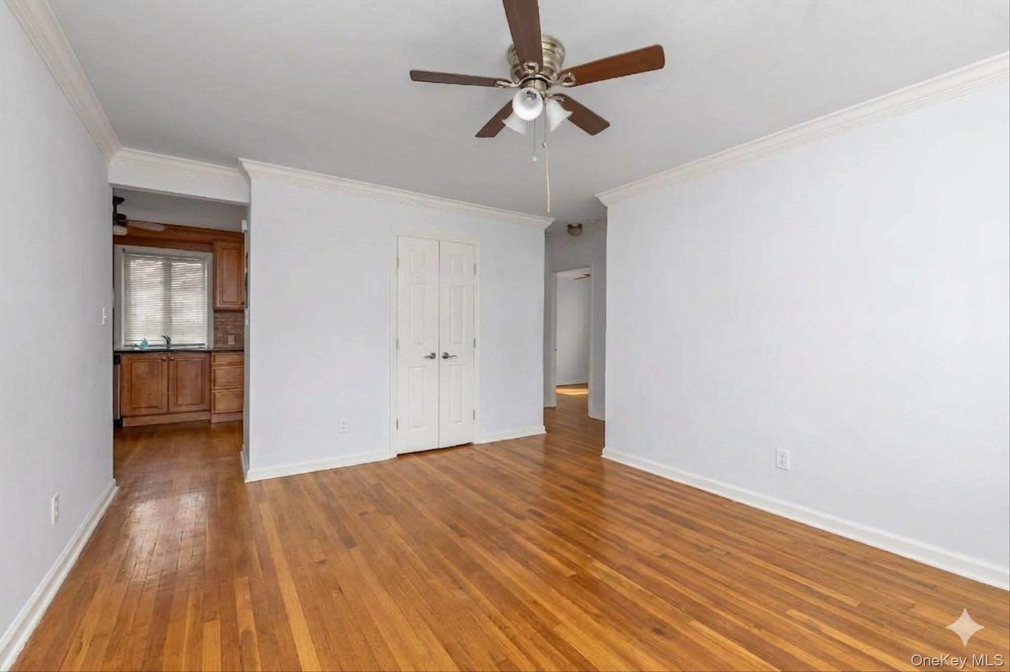 229-05 87th Avenue 1st Floor Property Photo 5