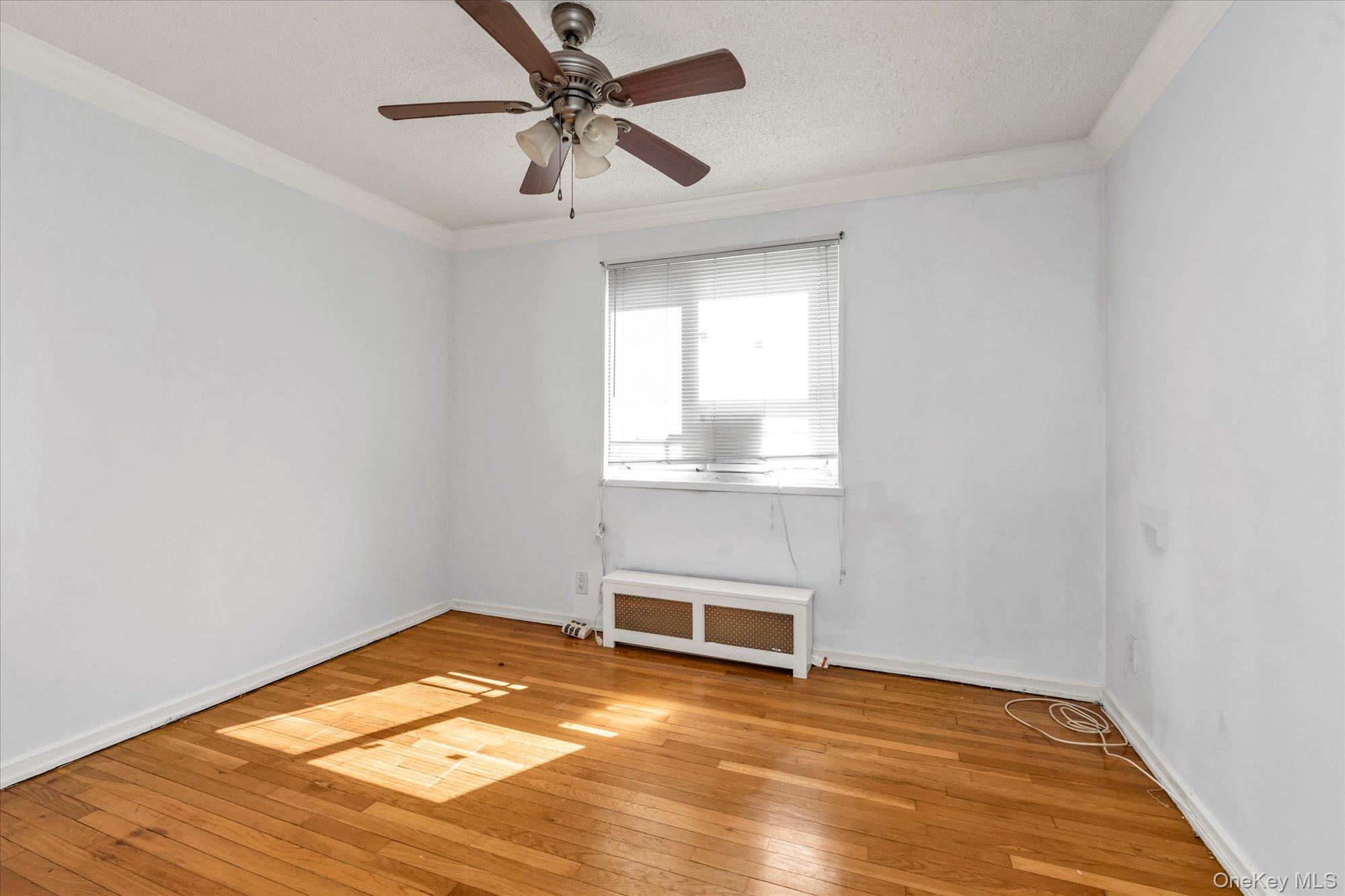 229-05 87th Avenue 1st Floor Property Photo 10