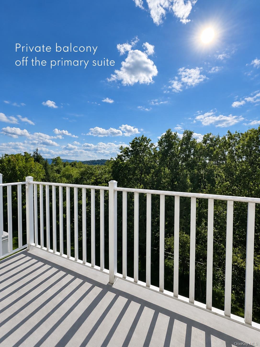 1115 Balsam Drive Property Photo 17