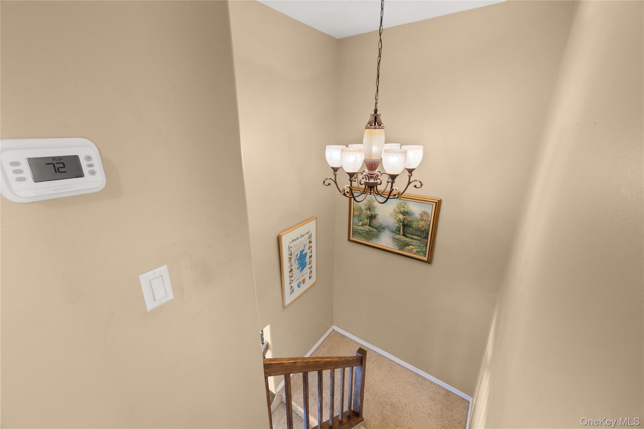 11 Burgoyne Court Property Photo 25