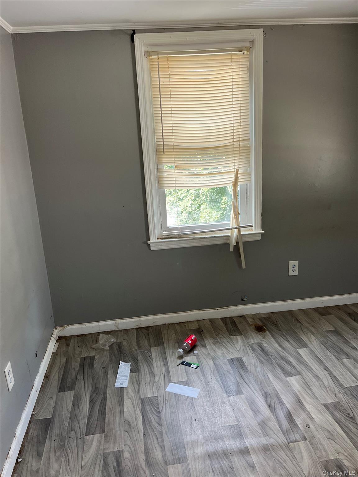 56 Lowndes Avenue Property Photo 26