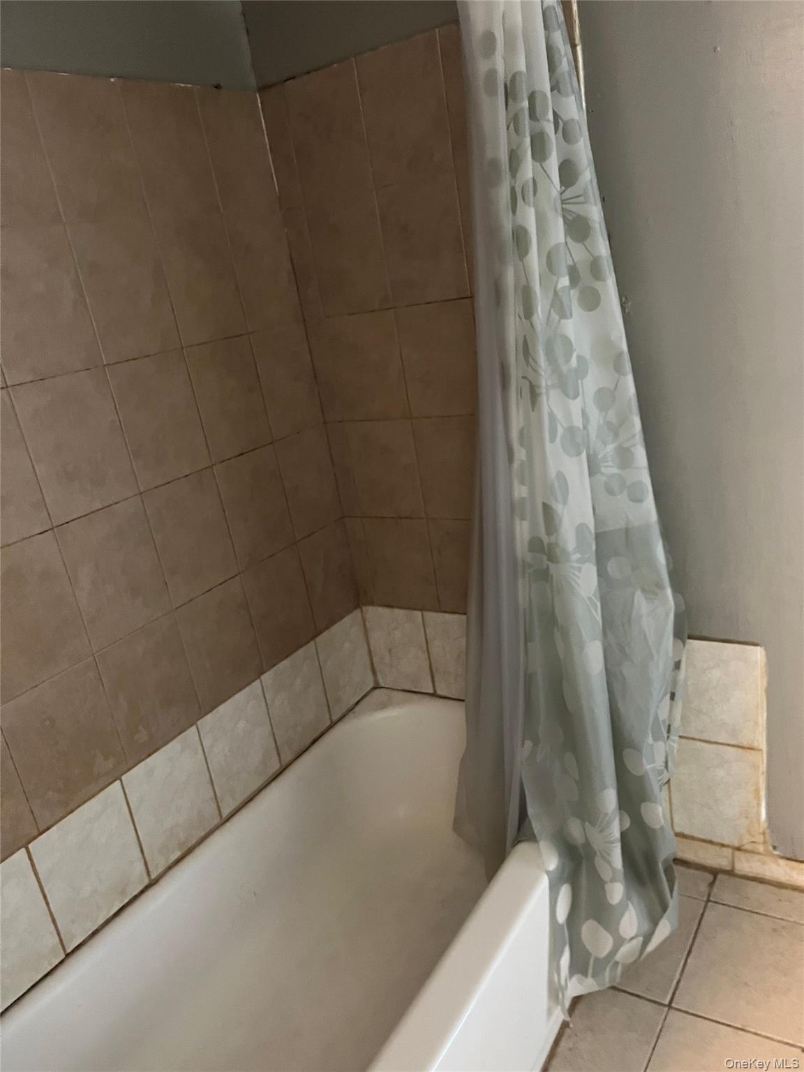 56 Lowndes Avenue Property Photo 29