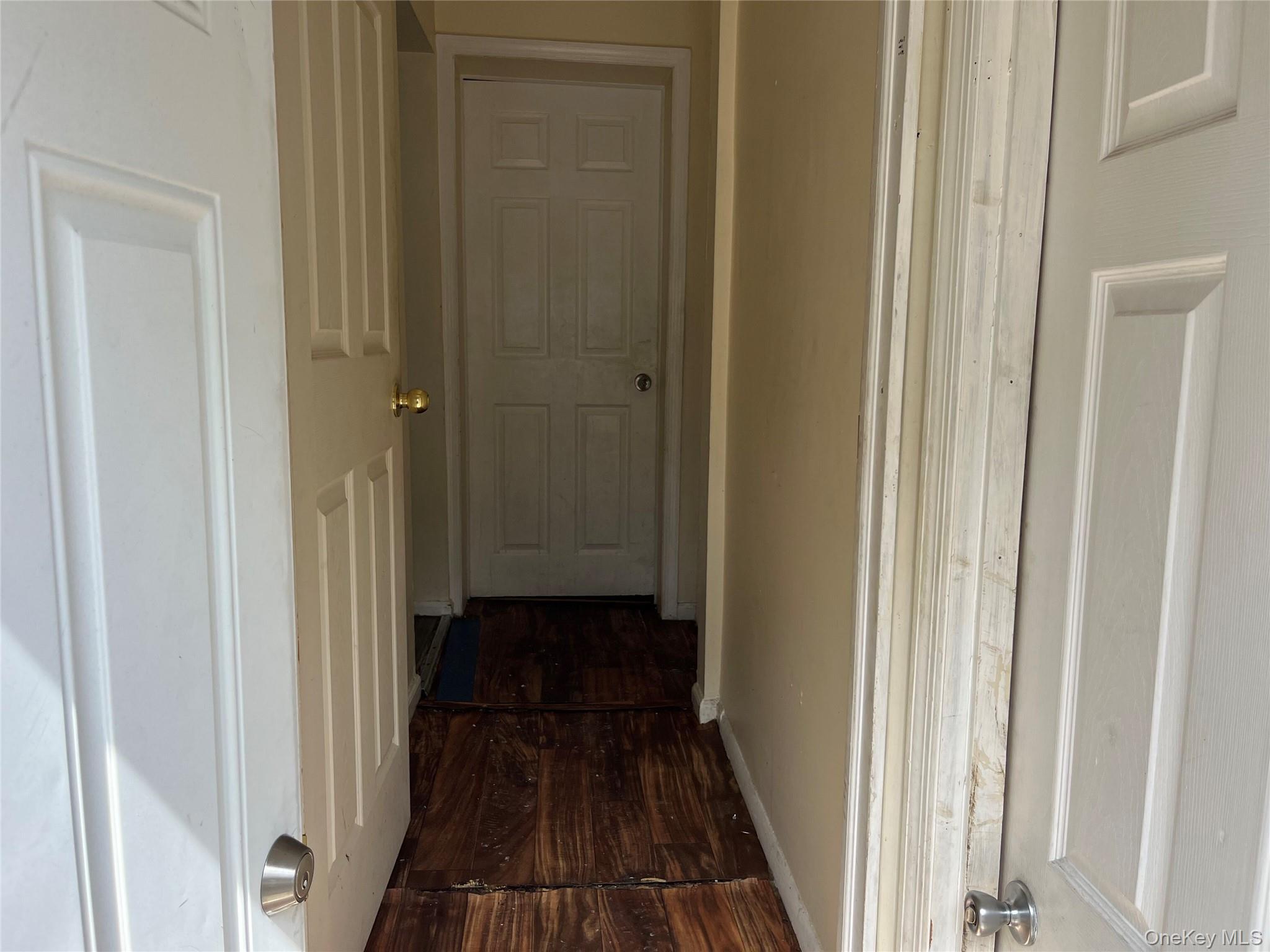 56 Lowndes Avenue Property Photo 34