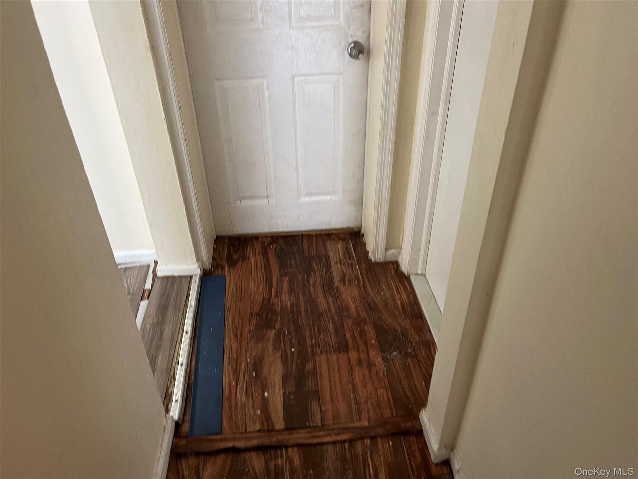 56 Lowndes Avenue Property Photo 35