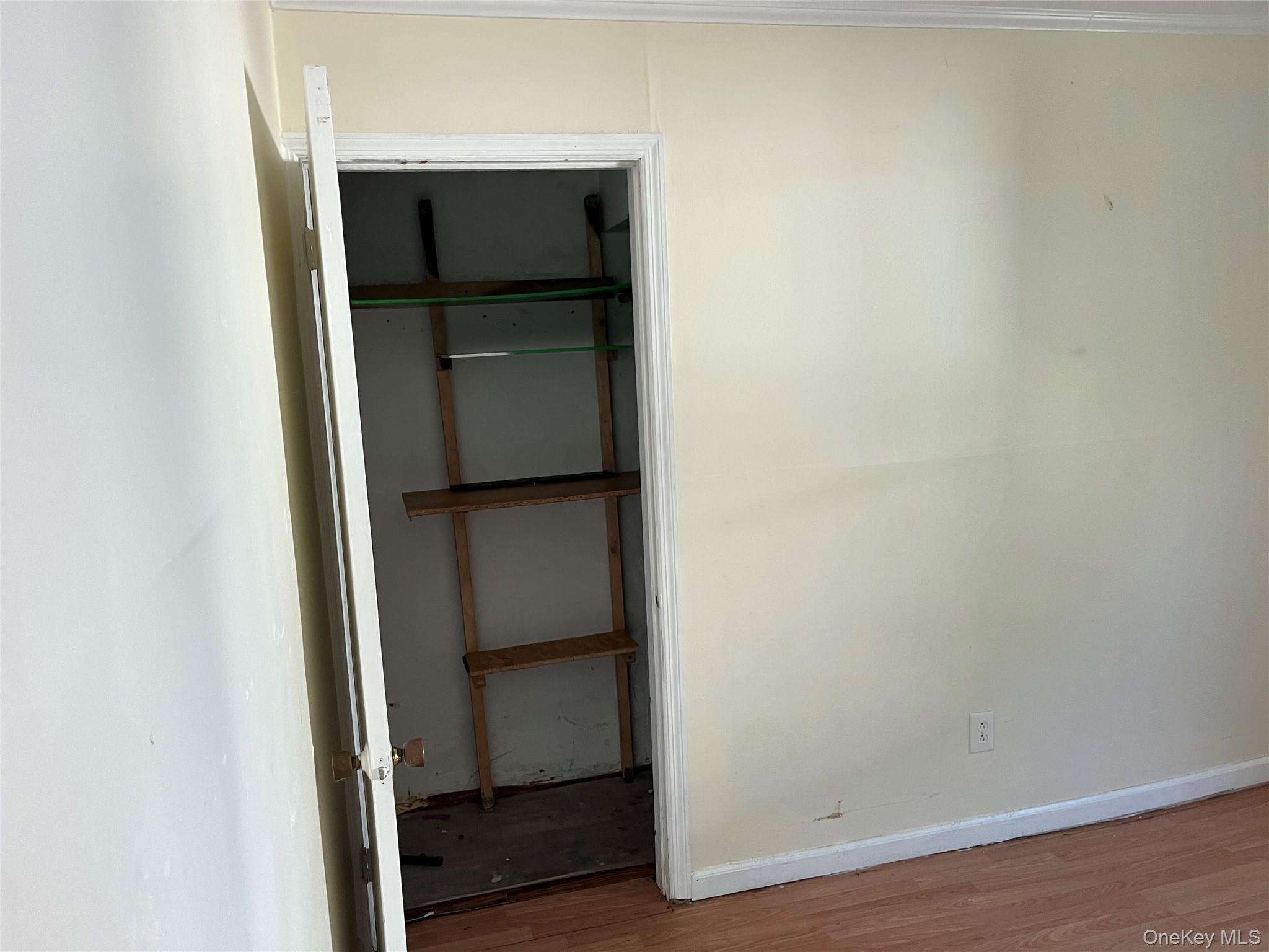 56 Lowndes Avenue Property Photo 39